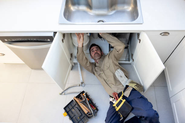 Best Local Plumber Services  in Ojus, FL